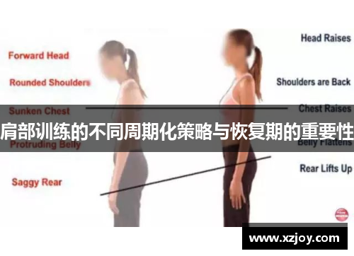 肩部训练的不同周期化策略与恢复期的重要性